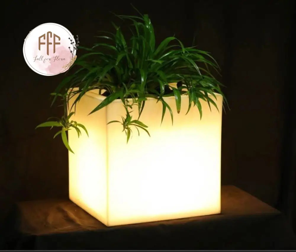 Led Square Planter