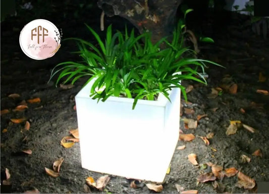 Led Square Planter