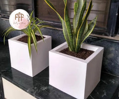 Square Planter