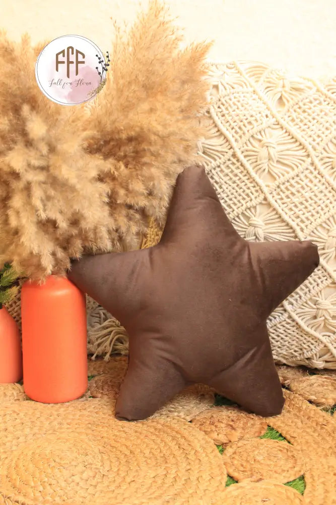 Star Cushion - C